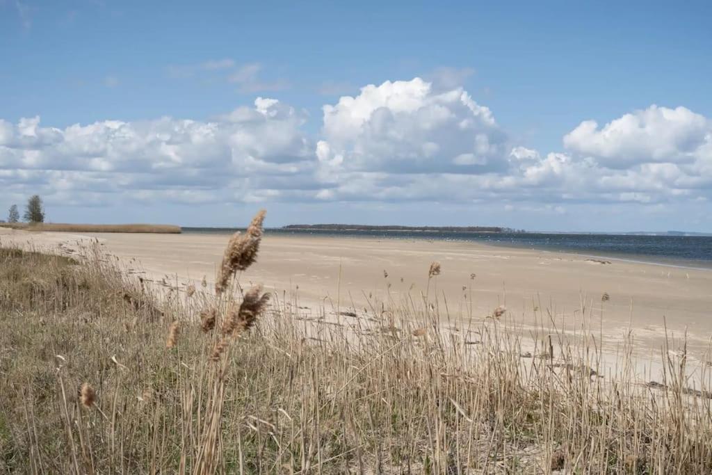 Ferienhaus Koserow, Usedom, 8 Pers., Hunde Erlaubt Екстериор снимка